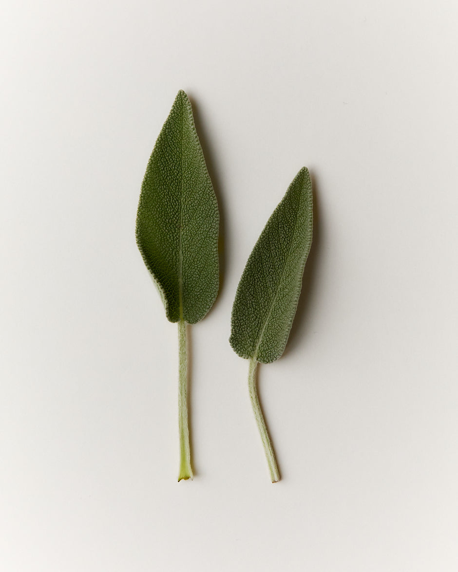 FAQs side image
