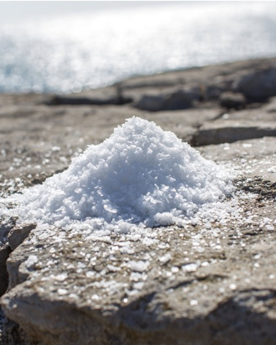 Hand-harvested from Chesil beach