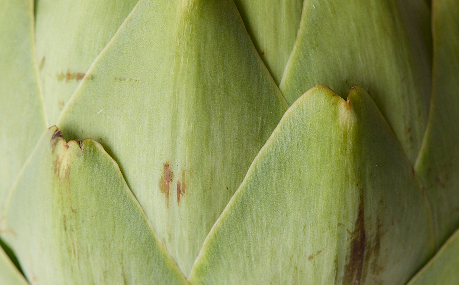 Ingredient quality, provenance + integrity